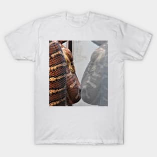 Reflection T-Shirt